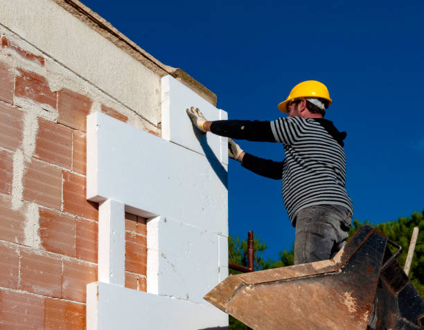 Best Professional Insulation Contractor  in Alanuk, AK