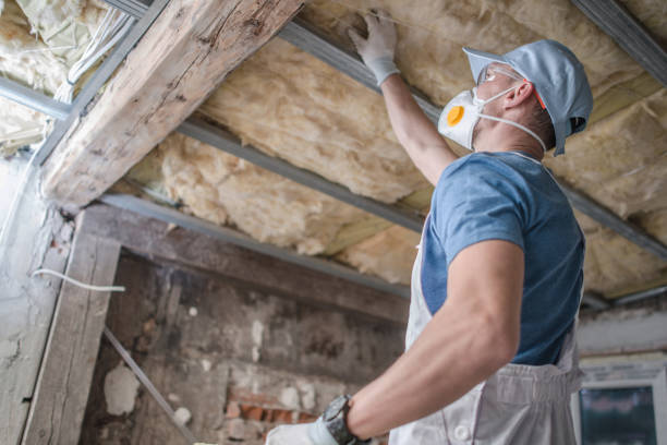 Best Home Insulation Services  in Alanuk, AK
