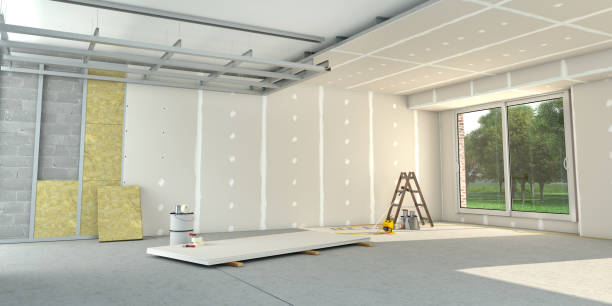 Best Best Insulation Companies  in Alanuk, AK