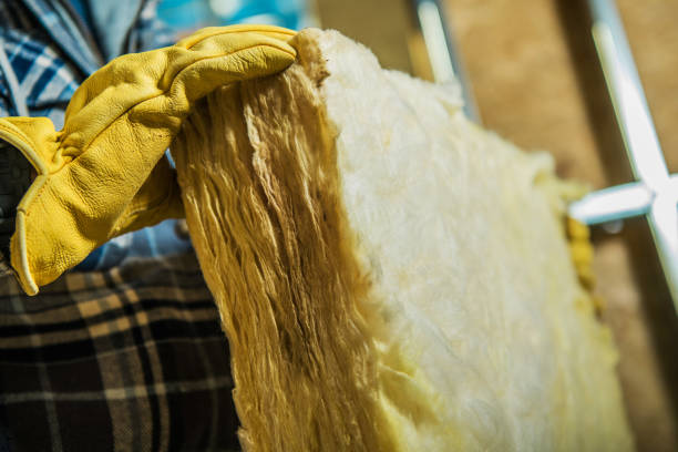 Best Local Insulation Services  in Alanuk, AK