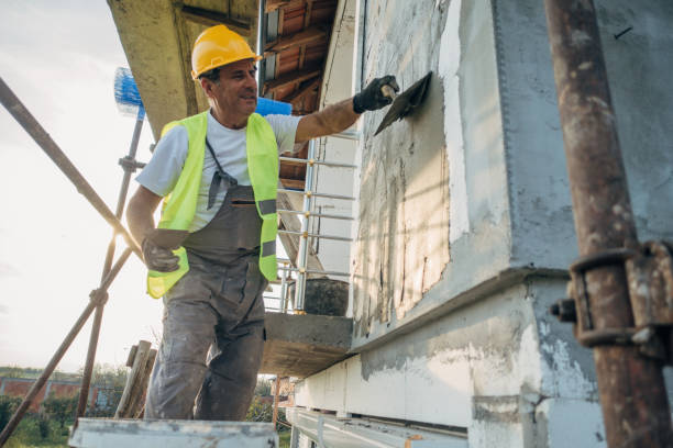 Best Insulation Removal  in Alanuk, AK