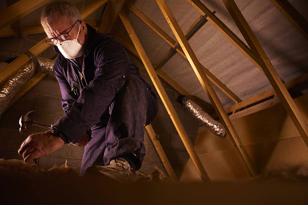 Best Spray Foam Insulation  in Alanuk, AK